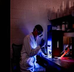 Nhờ Covid-19, khoa học đang ngày càng được tin tưởng và kỳ vọng ở châu Á - Thái Bình Dương  - Ảnh 1.