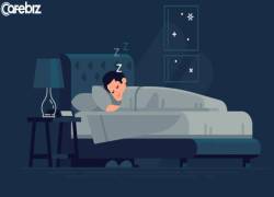 Nhất định phải ngủ đúng 8 tiếng ư? 12 sự thật về giấc ngủ mà ban không hề biết - Ảnh 2.