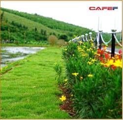  Câu chuyện “bỏ phố về rừng” đầu tư Farmstay của một đại gia Tp.HCM sở hữu 50 căn nhà vườn - Ảnh 2.