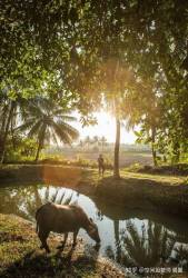  Giám đốc ngân hàng từ chức, xây homestay với kiến trúc độc đáo, giành 3 giải thưởng quốc tế: Hạnh phúc, bình yên là sự lựa chọn, không phải sự sắp đặt  - Ảnh 2.