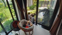 Sự nghiệp đang lên, đôi vợ chồng quyết bỏ phố về quê vì con cái, xây biệt thự có vườn rộng như công viên, ngày ngày trồng rau, thả cá và nuôi gà  - Ảnh 17.