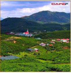  Câu chuyện “bỏ phố về rừng” đầu tư Farmstay của một đại gia Tp.HCM sở hữu 50 căn nhà vườn - Ảnh 10.