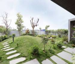 Sự nghiệp đang lên, đôi vợ chồng quyết bỏ phố về quê vì con cái, xây biệt thự có vườn rộng như công viên, ngày ngày trồng rau, thả cá và nuôi gà  - Ảnh 10.