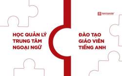 Làm gì trong và sau đại dịch với quan điểm CEO Hanoi Connection - Ảnh 1.