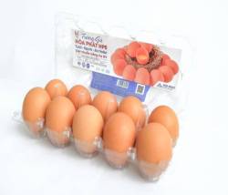 Bức tranh trái ngược của 2 đại gia trứng cùng thời: Vua thép Hòa Phát dội bom thị trường, ĐTK Phú Thọ phá sản - Ảnh 2. Bức tranh trái ngược của 2 đại gia trứng cùng thời: Vua thép Hòa Phát dội bom thị trường, ĐTK Phú Thọ phá sản - Ảnh 2.