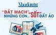 'Bắt mạch' những cơn sốt đất ảo