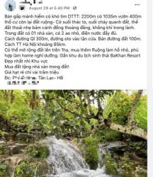 Sóng cắt lỗ farmstay vì dịch bắt đầu sôi động: Có trang trại giảm giá tới 50% - Ảnh 3. Sóng cắt lỗ farmstay vì dịch bắt đầu sôi động: Có trang trại giảm giá tới 50% - Ảnh 3.