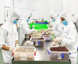 Dh Foods và bài toán kinh doanh mùa dịch giữa muôn vàn khó khăn - Ảnh 3. Dh Foods và bài toán kinh doanh mùa dịch giữa muôn vàn khó khăn - Ảnh 3.