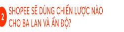 Vì sao Shopee lựa chọn Ấn Độ, Ba Lan là thị trường mục tiêu tiếp theo? - Ảnh 4.