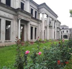 Số phận thăng trầm, nhiều ‘gai’ của dự án thung lũng hoa hồng tại Hà Nội - Ảnh 1. Số phận thăng trầm, nhiều ‘gai’ của dự án thung lũng hoa hồng tại Hà Nội - Ảnh 1.
