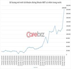 Kỷ lục mới: Nhà đầu tư cá nhân trong nước mở hơn 220.000 tài khoản mới trong tháng 11 khi VN-Index chạm đỉnh 1.500 điểm - Ảnh 1.