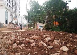 Yêu cầu làm rõ thông tin đổi 60ha đất lấy 1,6 km đường ở Hà Nội - Ảnh 2.