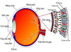 Người đàn ông nhìn Mặt Trời 1 tiếng đồng hồ không chớp mắt: Có phải khoa học lại sai ở Ấn Độ? - Ảnh 2. Người đàn ông nhìn Mặt Trời 1 tiếng đồng hồ không chớp mắt: Có phải khoa học lại sai ở Ấn Độ? - Ảnh 2.