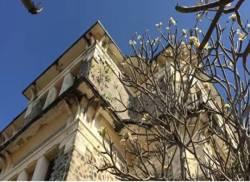 Dinh thự ma ám sát biển của người giàu thứ tư SG, vị trí đắc địa nhưng đành bỏ hoang - Ảnh 3. Dinh thự ma ám sát biển của người giàu thứ tư SG, vị trí đắc địa nhưng đành bỏ hoang - Ảnh 3.