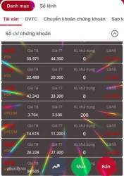 Trải nghiệm đau thương khi chơi chứng khoán của những chú gà thuở mới biết đi: Mất 12 triệu chỉ vì 1 cái status, chọn mã công ty để mua như chơi xổ số! - Ảnh 7.