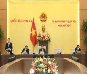 Từ 1-1-2022, giảm 50% thuế bảo vệ môi trường với nhiên liệu bay  - Ảnh 1.