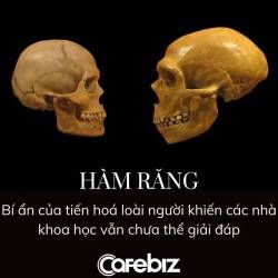 Sự thật đáng sợ: Loài người trong tương lai sẽ móm sạch, phải dùng ống hút để ăn? - Ảnh 2. Sự thật đáng sợ: Loài người trong tương lai sẽ móm sạch, phải dùng ống hút để ăn? - Ảnh 2.