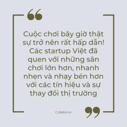 Bà Trương Lý Hoàng Phi: Nhiều startup đã ‘ra đi’ không kèn không trống, cuộc sàng lọc startup vẫn diễn ra khốc liệt trong 2022! - Ảnh 3.