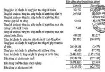 Bán 49% cổ phần con gà đẻ trứng vàng FE Credit thu về 1,4 tỷ USD, tại sao lợi nhuận của VPBank chỉ tăng nhẹ 12% trong năm 2021? - Ảnh 6.