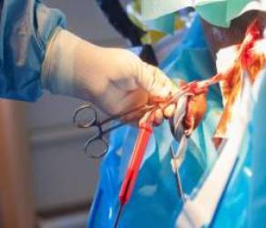  Người phụ nữ đầu tiên chữa khỏi HIV: Khe cửa sinh sau hàng lớp những cánh cửa tử  - Ảnh 3.