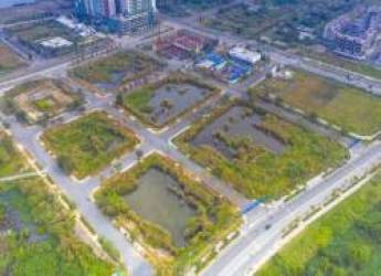 Tăng cường kiểm tra đấu giá đất, không để xảy ra tình trạng thông đồng và móc ngoặc  - Ảnh 2.