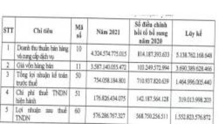  Hạch toán doanh thu một lần, Idico (IDC) có thêm 570 tỷ đồng LNST chưa phân phối trong quý 4/2021  - Ảnh 2.