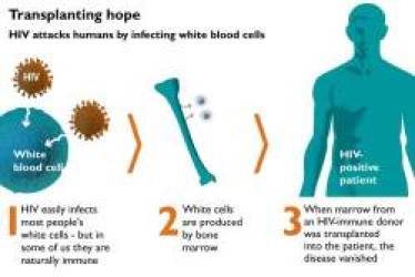  Người phụ nữ đầu tiên chữa khỏi HIV: Khe cửa sinh sau hàng lớp những cánh cửa tử  - Ảnh 2.