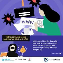 Mất trung bình 4 tỷ cho mỗi lần bị mã độc tấn công, làm gì để ngăn chặn? - Ảnh 2.