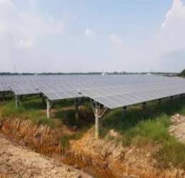  Phát hiện hàng loạt vi phạm trong phát triển điện mặt trời  - Ảnh 1.