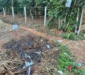Đắk Lắk: Sốt đất cả ao suối, xứ núi mà cầm nửa tỷ đi mua đất cũng... chịu - Ảnh 1.