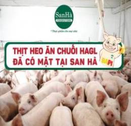 Chủ tịch Đoàn Nguyên Đức: Hoàng Anh Gia Lai có trồng rừng, sầu riêng… nhưng tôi chỉ tính đến cái gì đã thu hoạch được, không người ta bảo tôi nói phét - Ảnh 1.