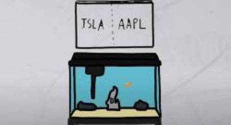  Đưa 50.000$ cho cá vàng chơi cổ phiếu còn thắng đậm hơn nghe thanh niên trên MXH “phím hàng”  - Ảnh 1.