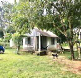  Bỏ phố về rừng lúc dịch, đến giờ, tôi bắt đầu hối hận vì phải di chuyển 2 tiếng đến nơi làm việc và về nhà khi trời đã tối  - Ảnh 1.