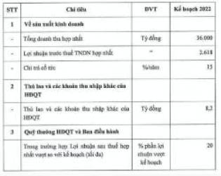  Gelex: Đặt kế hoạch doanh thu 36.000 tỷ năm 2022, tăng trưởng 26%, niêm yết Gelex Hạ tầng và đầu tư 1.900 ha khu công nghiệp mới  - Ảnh 2.