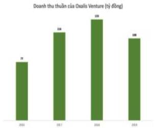 Tour thám hiểm Sơn Đoòng hết sạch suất trống năm 2022 dù giá tới 50-70 triệu đồng/người: Doanh nghiệp độc quyền khai thác đang kinh doanh ra sao? - Ảnh 5.