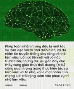 Não bộ là cỗ máy tính lượng tử tự tưởng tượng ra ảo giác về toán học - Ảnh 12.