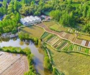  Cựu ‘chiến thần’ Tencent từ chức sau khi kiếm đủ tiền, nghỉ hưu ở vùng núi, mỗi ngày làm nông và nhâm nhi trà: Hãy sống như gió, không gò bó, tự do và an nhiên để thấy đời thật đẹp  - Ảnh 13.