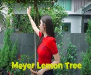 Ngôi nhà xa hoa của người phụ nữ sở hữu 200 túi xách Hermes - Ảnh 3.