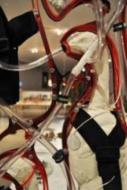 Đáng sợ chưa: đây là viễn cảnh loài gà được nuôi nhốt như cách con người phải trải qua trong phim The Matrix - Ảnh 4.