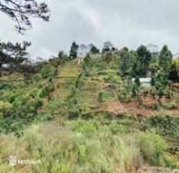 Theo Trang Nemo mua đất 20 tỷ ở khu Phú Mỹ Hưng Đà Lạt: BĐS đang điên giá, cò không tiếp khách tài chính dưới 5 tỷ - Ảnh 6.