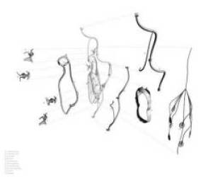 Đáng sợ chưa: đây là viễn cảnh loài gà được nuôi nhốt như cách con người phải trải qua trong phim The Matrix - Ảnh 6.