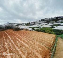 Theo Trang Nemo mua đất 20 tỷ ở khu Phú Mỹ Hưng Đà Lạt: BĐS đang điên giá, cò không tiếp khách tài chính dưới 5 tỷ - Ảnh 9.