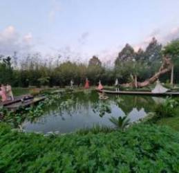 Tôi thử sống tỉnh thức và chữa lành tại Thành phố Cà phê của ông Đặng Lê Nguyên Vũ - Ảnh 4.