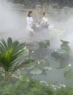 Tôi thử sống tỉnh thức và chữa lành tại Thành phố Cà phê của ông Đặng Lê Nguyên Vũ - Ảnh 16.